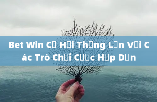 Bet Win Cơ Hội Thắng Lớn Với Các Trò Chơi Cược Hấp Dẫn