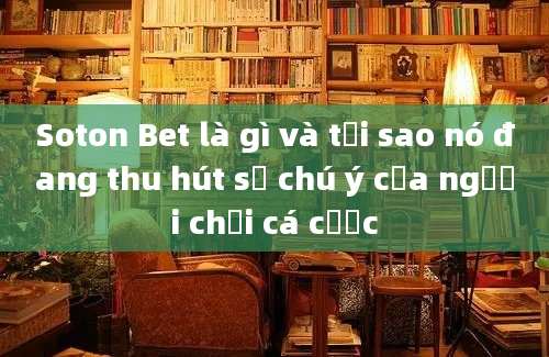 Soton Bet là gì và tại sao nó đang thu hút sự chú ý của người chơi cá cược