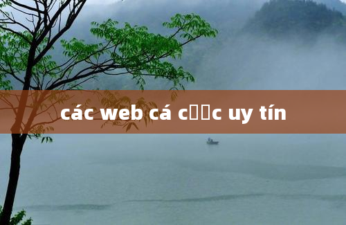 các web cá cược uy tín