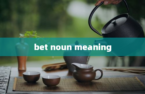 bet noun meaning