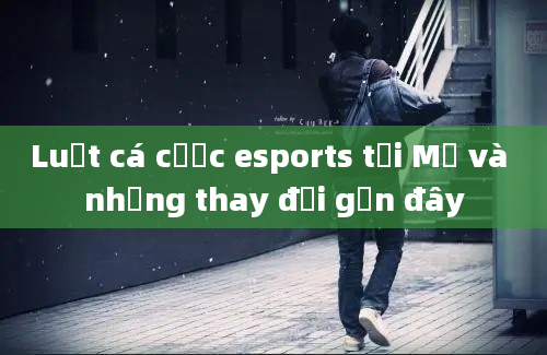 Luật cá cược esports tại Mỹ và những thay đổi gần đây