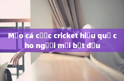 Mẹo cá cược cricket hiệu quả cho người mới bắt đầu