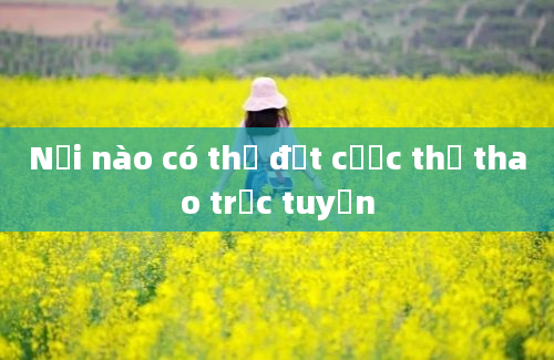 Nơi nào có thể đặt cược thể thao trực tuyến