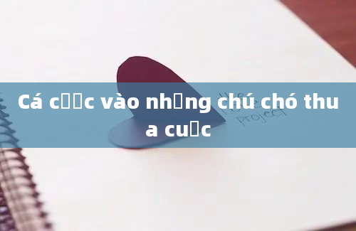 Cá cược vào những chú chó thua cuộc