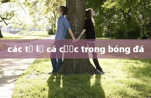 các tỷ lệ cá cược trong bóng đá