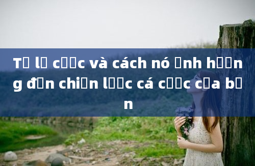 Tỷ lệ cược và cách nó ảnh hưởng đến chiến lược cá cược của bạn