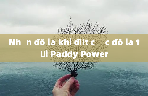 Nhận đô la khi đặt cược đô la tại Paddy Power