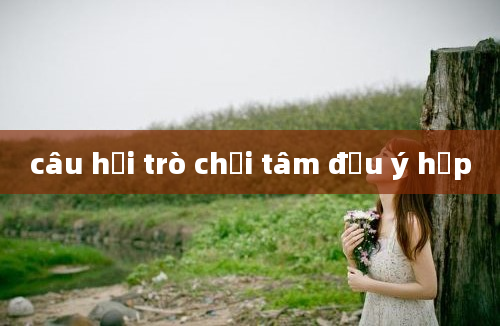 câu hỏi trò chơi tâm đầu ý hợp