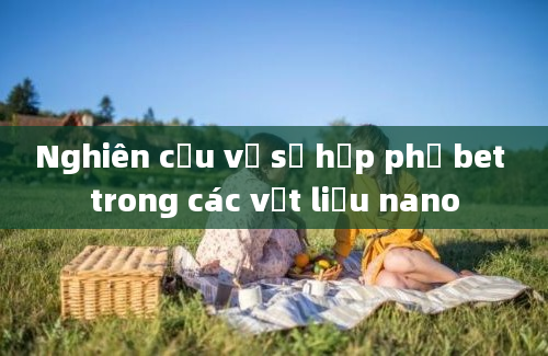 Nghiên cứu về sự hấp phụ bet trong các vật liệu nano