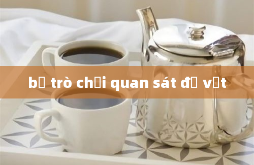 bộ trò chơi quan sát đồ vật