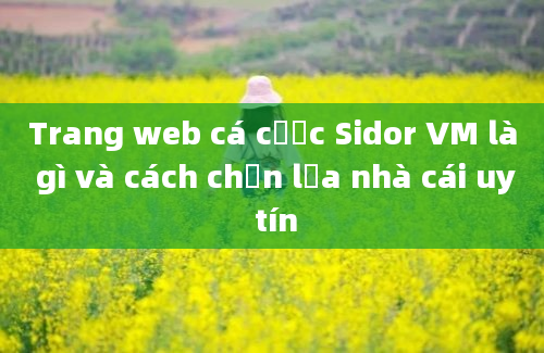 Trang web cá cược Sidor VM là gì và cách chọn lựa nhà cái uy tín