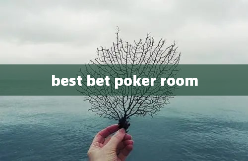 best bet poker room