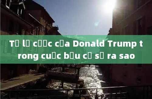 Tỷ lệ cược của Donald Trump trong cuộc bầu cử sẽ ra sao