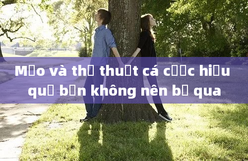 Mẹo và thủ thuật cá cược hiệu quả bạn không nên bỏ qua