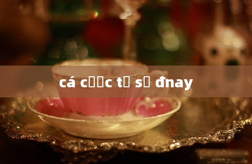 cá cược tỷ số đnay