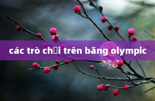 các trò chơi trên băng olympic