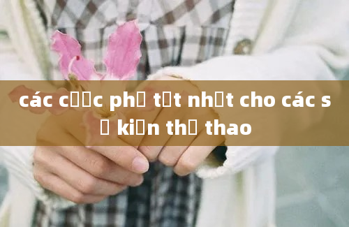 các cược phụ tốt nhất cho các sự kiện thể thao