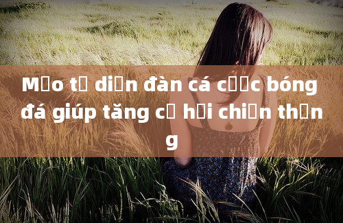 Mẹo từ diễn đàn cá cược bóng đá giúp tăng cơ hội chiến thắng