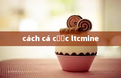 cách cá cược ltcmine