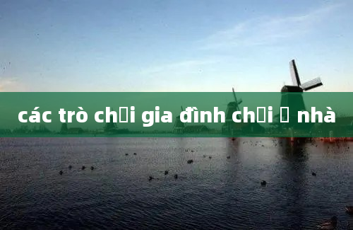 các trò chơi gia đình chơi ở nhà