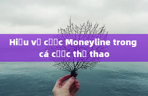 Hiểu về cược Moneyline trong cá cược thể thao