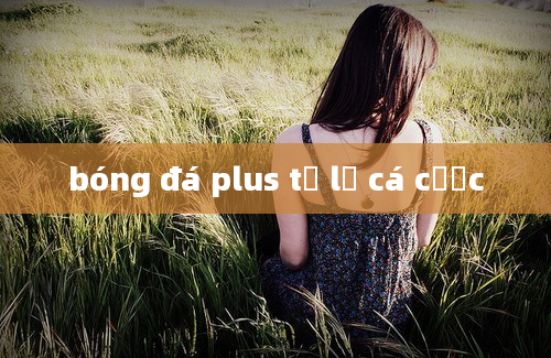 bóng đá plus tỷ lệ cá cược