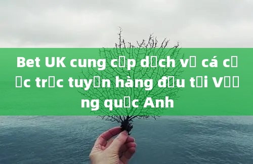 Bet UK cung cấp dịch vụ cá cược trực tuyến hàng đầu tại Vương quốc Anh