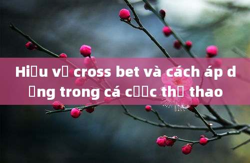 Hiểu về cross bet và cách áp dụng trong cá cược thể thao