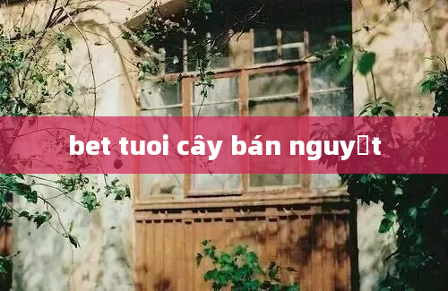 bet tuoi cây bán nguyệt