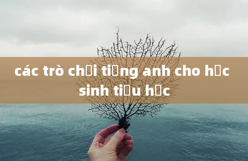 các trò chơi tiếng anh cho học sinh tiểu học