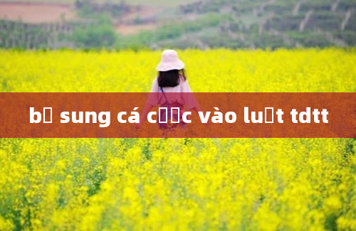 bổ sung cá cược vào luật tdtt