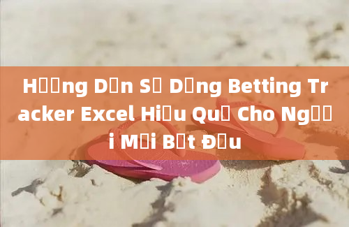 Hướng Dẫn Sử Dụng Betting Tracker Excel Hiệu Quả Cho Người Mới Bắt Đầu