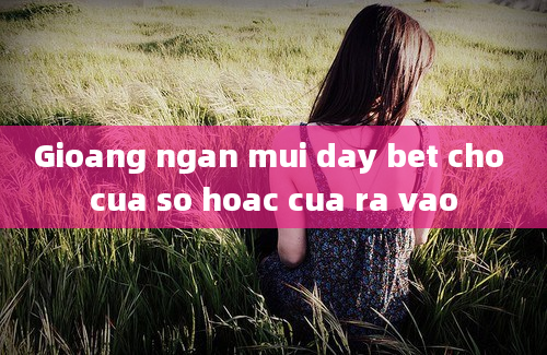 Gioang ngan mui day bet cho cua so hoac cua ra vao