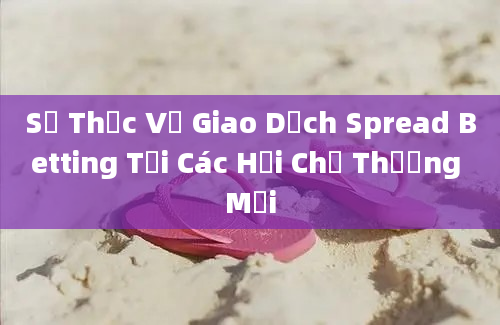 Sự Thực Về Giao Dịch Spread Betting Tại Các Hội Chợ Thương Mại