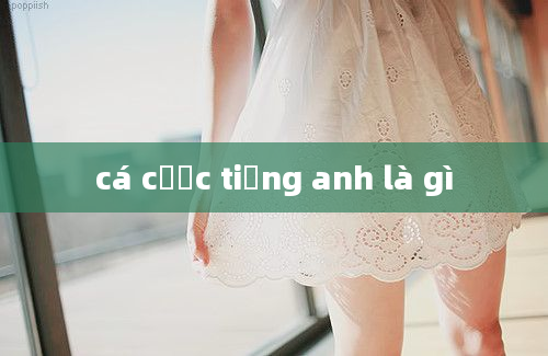 cá cược tiếng anh là gì