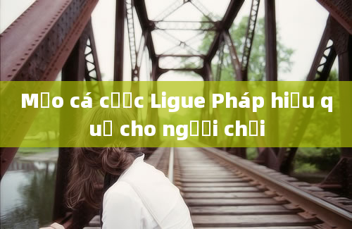 Mẹo cá cược Ligue Pháp hiệu quả cho người chơi