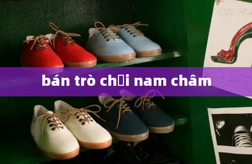 bán trò chơi nam châm