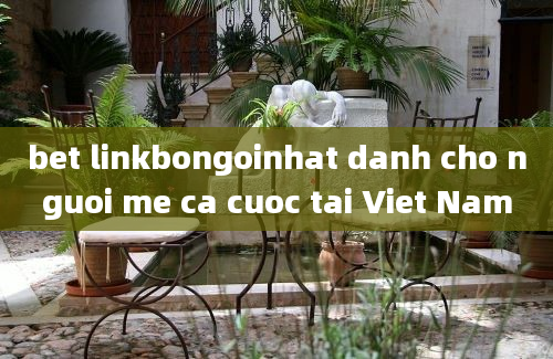 bet linkbongoinhat danh cho nguoi me ca cuoc tai Viet Nam