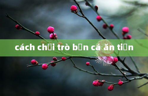 cách chơi trò bắn cá ăn tiền