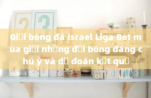 Giải bóng đá Israel Liga Bet mùa giải những đội bóng đáng chú ý và dự đoán kết quả