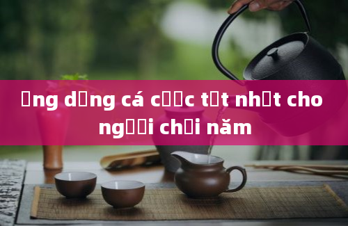 Ứng dụng cá cược tốt nhất cho người chơi năm