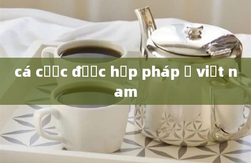 cá cược được hợp pháp ở việt nam