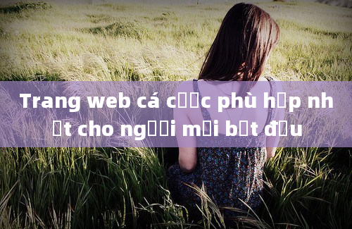 Trang web cá cược phù hợp nhất cho người mới bắt đầu