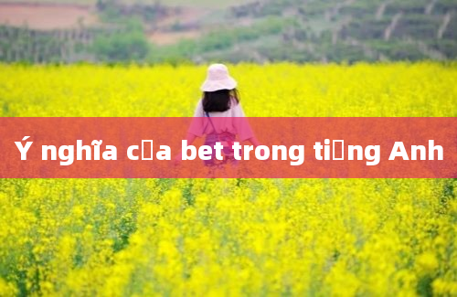 Ý nghĩa của bet trong tiếng Anh