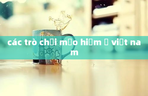 các trò chơi mạo hiểm ở việt nam