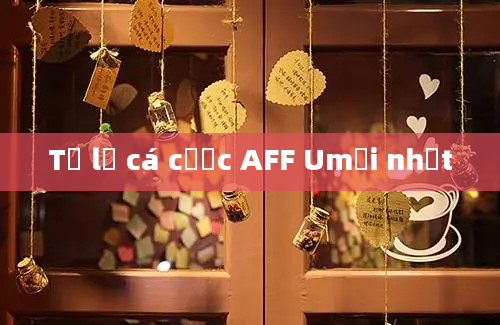 Tỷ lệ cá cược AFF Umới nhất