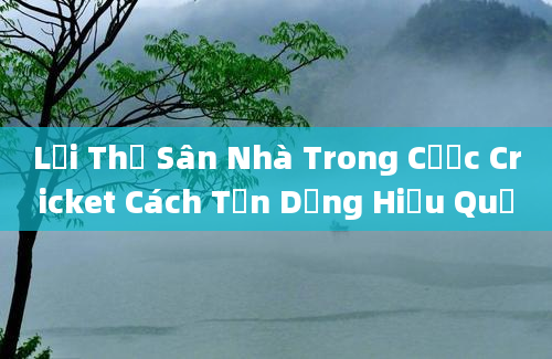 Lợi Thế Sân Nhà Trong Cược Cricket Cách Tận Dụng Hiệu Quả