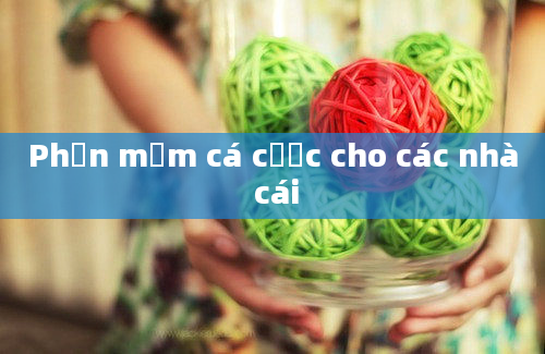 Phần mềm cá cược cho các nhà cái