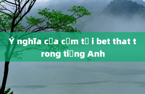 Ý nghĩa của cụm từ i bet that trong tiếng Anh