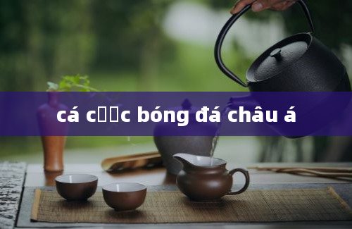 cá cược bóng đá châu á